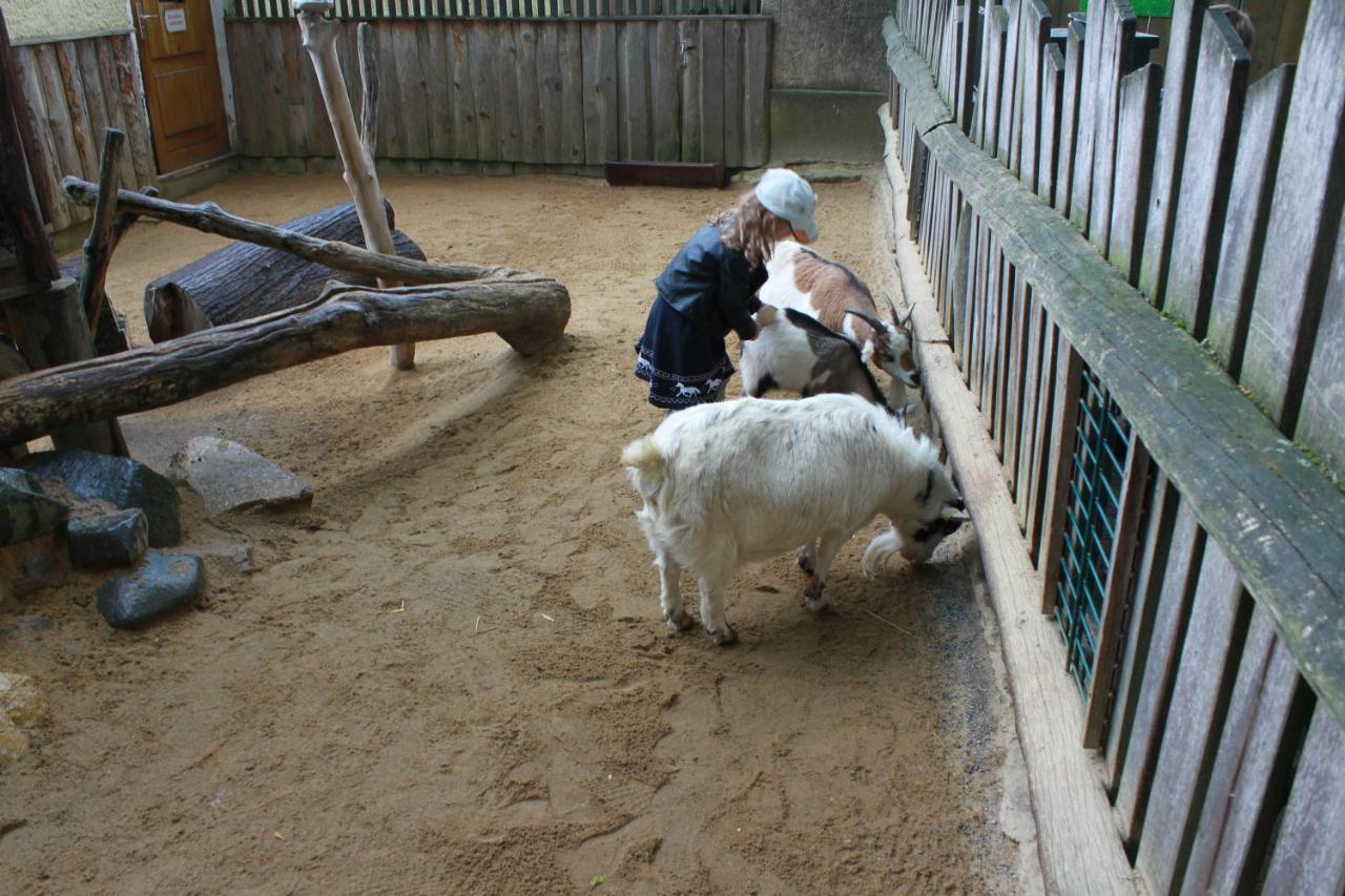Bischofswerda Ferienwohnung Familienfreundlich Seniorengerecht エクステリア 写真