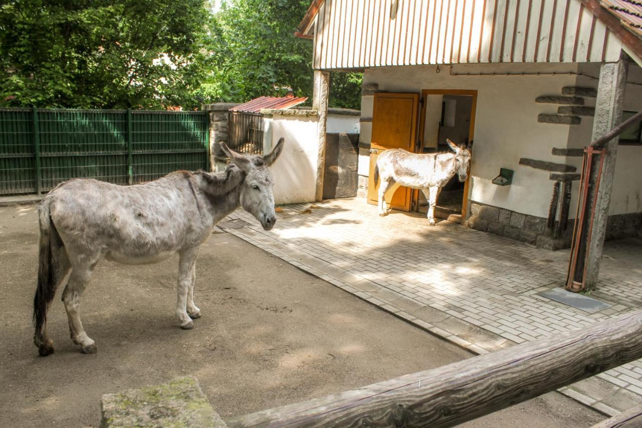 Bischofswerda Ferienwohnung Familienfreundlich Seniorengerecht エクステリア 写真