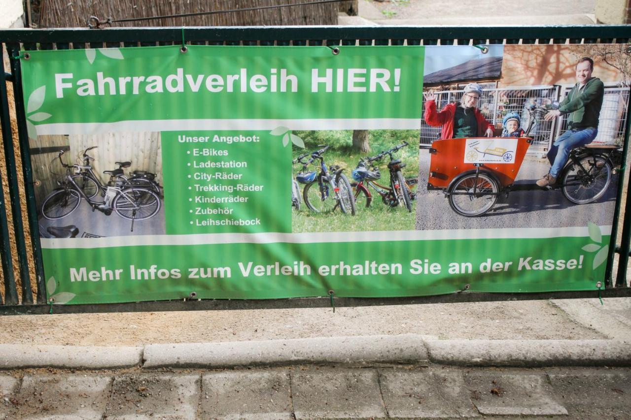 Bischofswerda Ferienwohnung Familienfreundlich Seniorengerecht エクステリア 写真