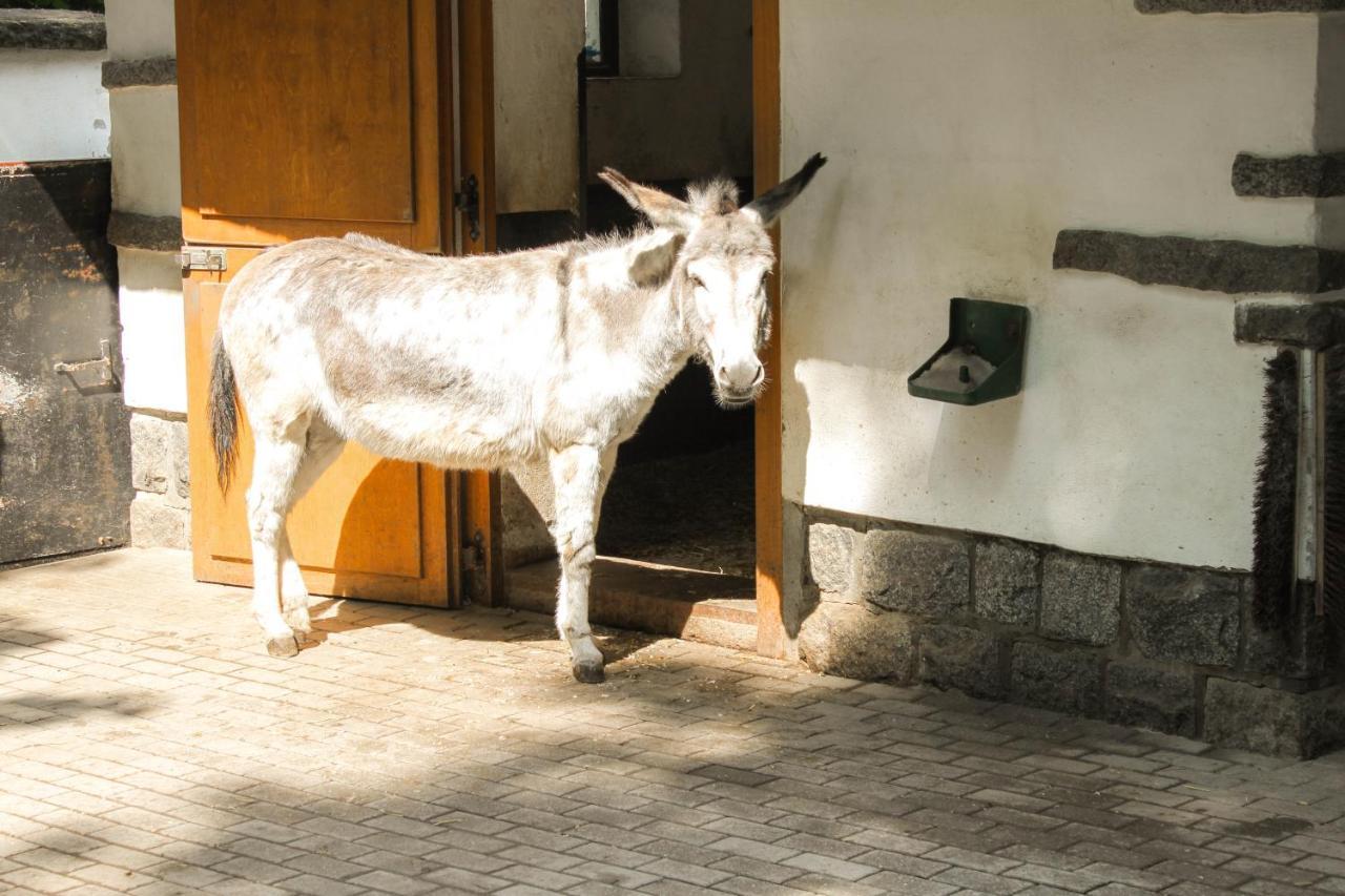 Bischofswerda Ferienwohnung Familienfreundlich Seniorengerecht エクステリア 写真